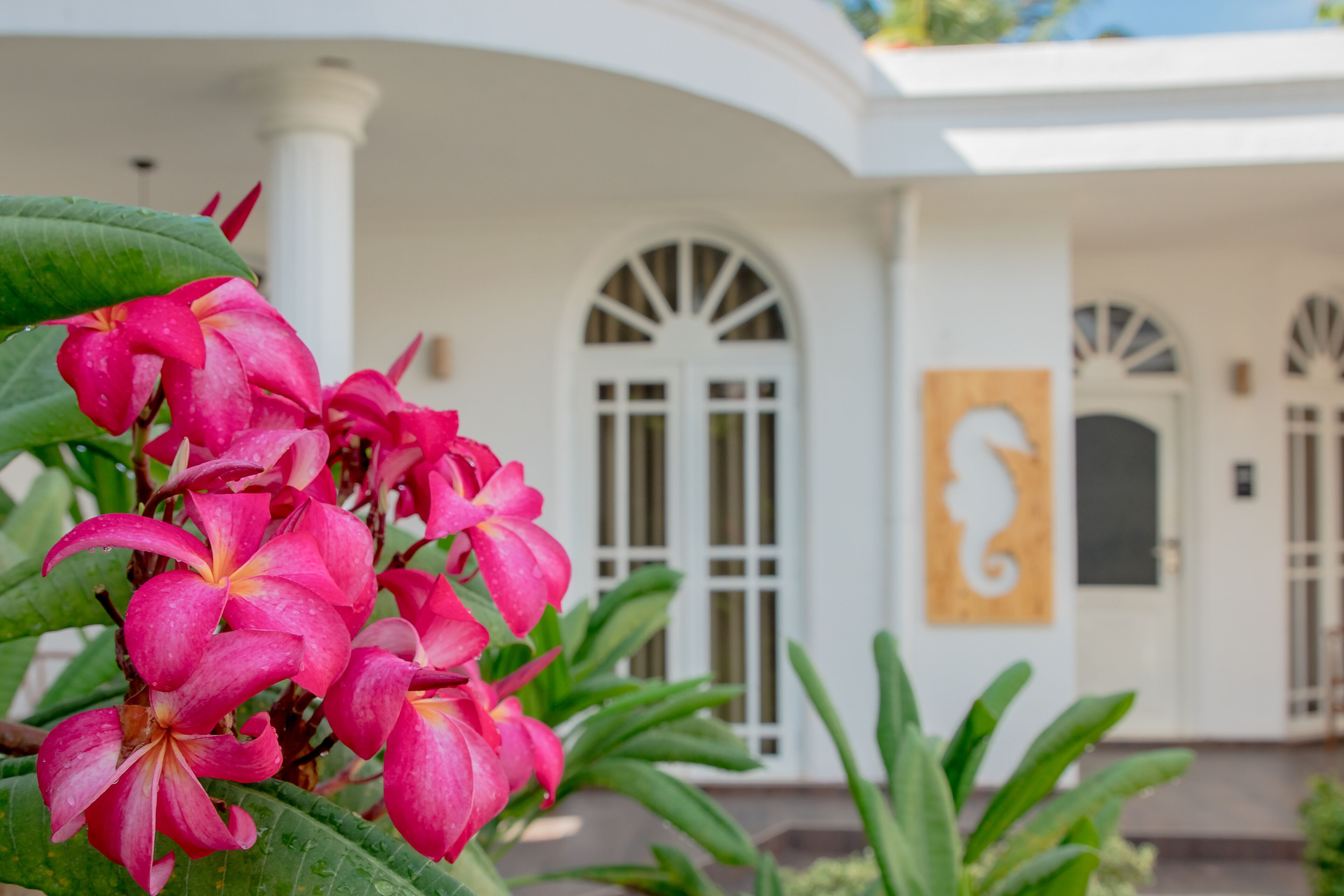 A white building with arched windows and a door, surrounded by green foliage and pink flowers.