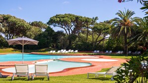 Una piscina con sillas de descanso y una palmera.