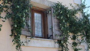 Ein Fenster mit Holzläden und Vorhang, umrankt von Kletterpflanzen.