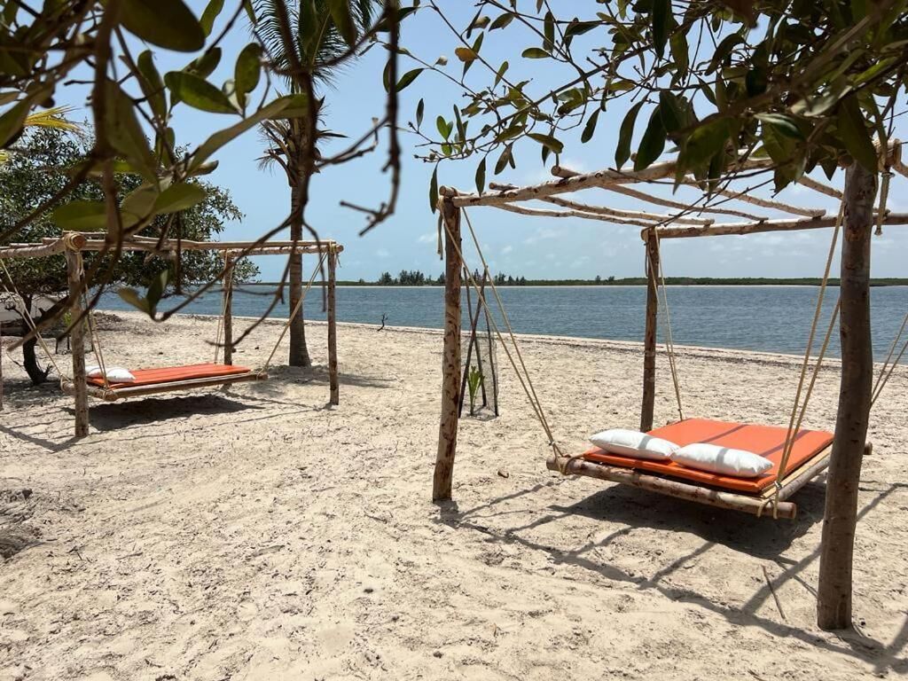 A beach with two swing beds under a tree canopy.