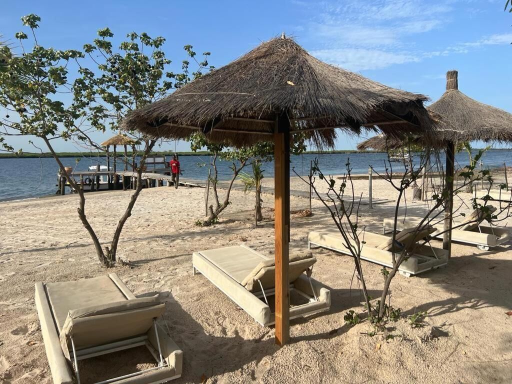 A beach with thatched umbrellas, lounge chairs, and a wooden pier extending into the water.