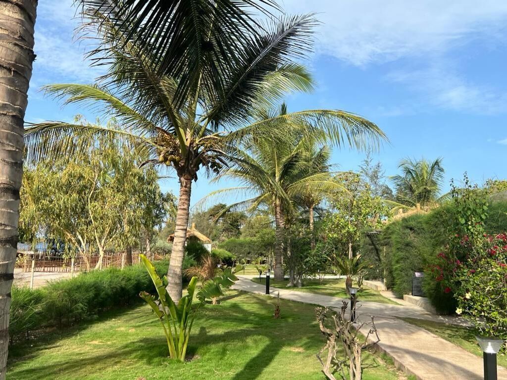 A pathway flanked by palm trees and various shrubs, leading to a building.