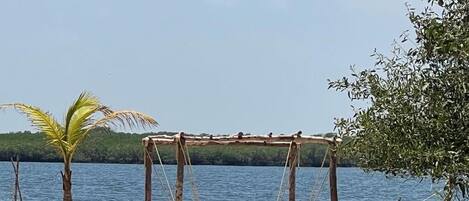 A beach with a wooden swing structure, a palm tree, and a body of water.