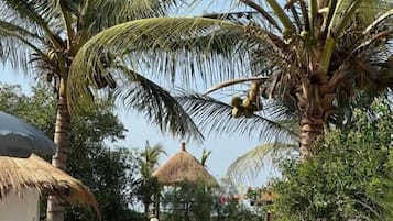 A beachside setting with a palm tree, a thatched-roof structure, and a red lounge chair.