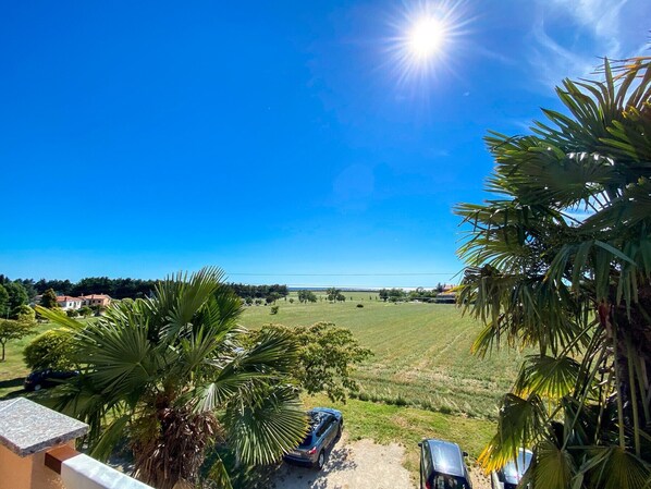 Utsikt från boendet