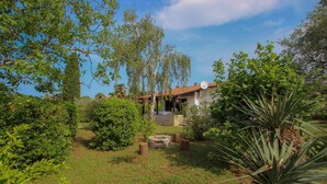 Unclassified image, 3 of 29, button - Karpinjan (Novigrad)