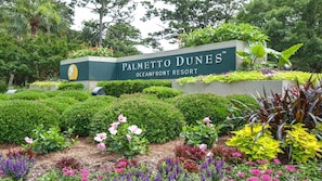 Welcome to Palmetto Dunes Oceanfront Resort, surrounded by beautifully maintained gardens.