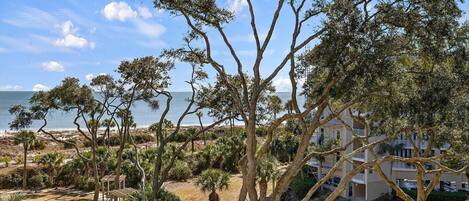 Vista costera con árboles, una playa y un edificio con balcones.