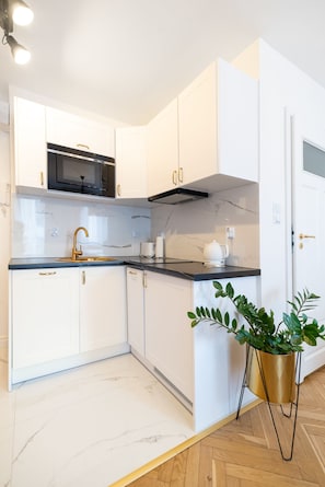 Fridge, microwave, stovetop, dishwasher