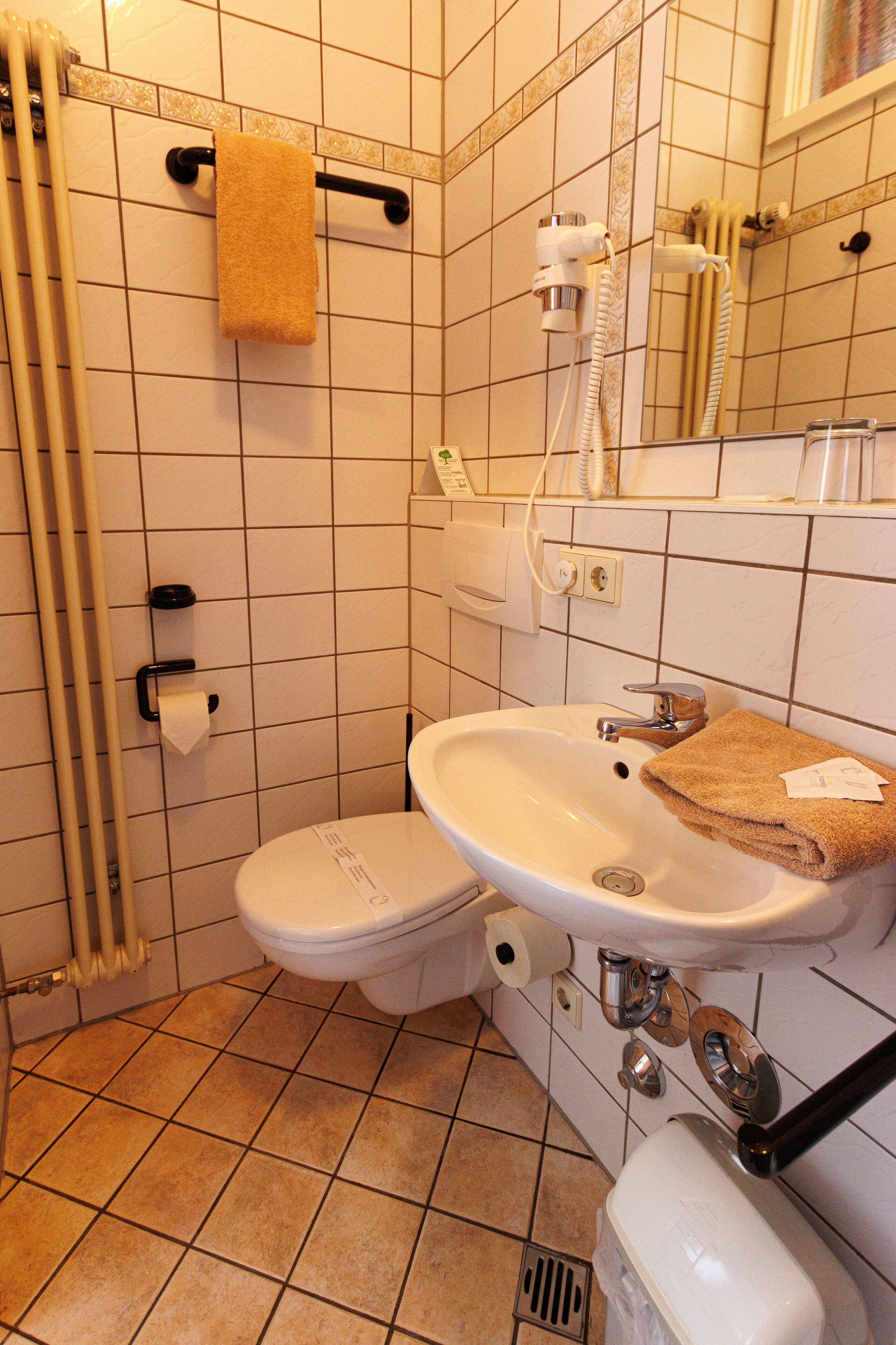 single room, annex building | bathroom | shower, rainfall showerhead, hair dryer, towels