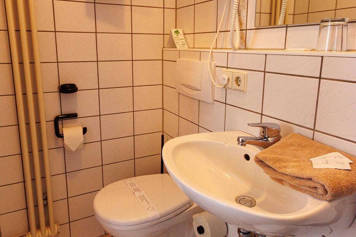 single room, annex building | bathroom | shower, rainfall showerhead, hair dryer, towels