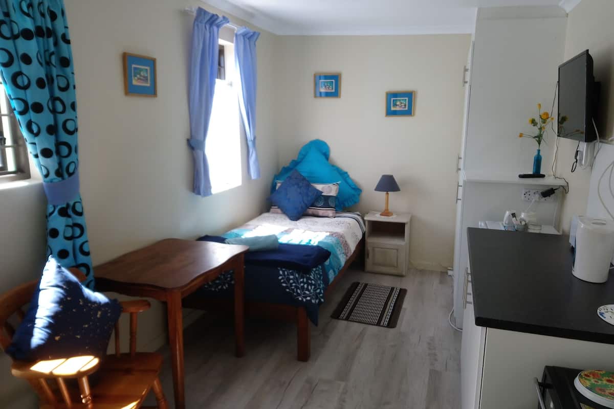 Deluxe eenpersoonskamer | 1 slaapkamer, een minibar, individueel gedecoreerd