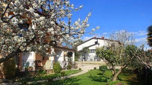Garden - Maria (Novigrad)