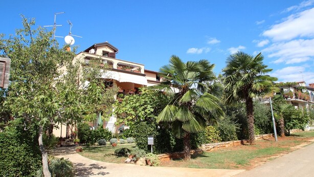 Exterior - Maria (Novigrad)