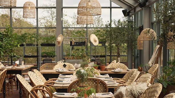 A restaurant with wicker furniture, potted plants, and a menu sign. - Siggesta Gård (Värmdö)