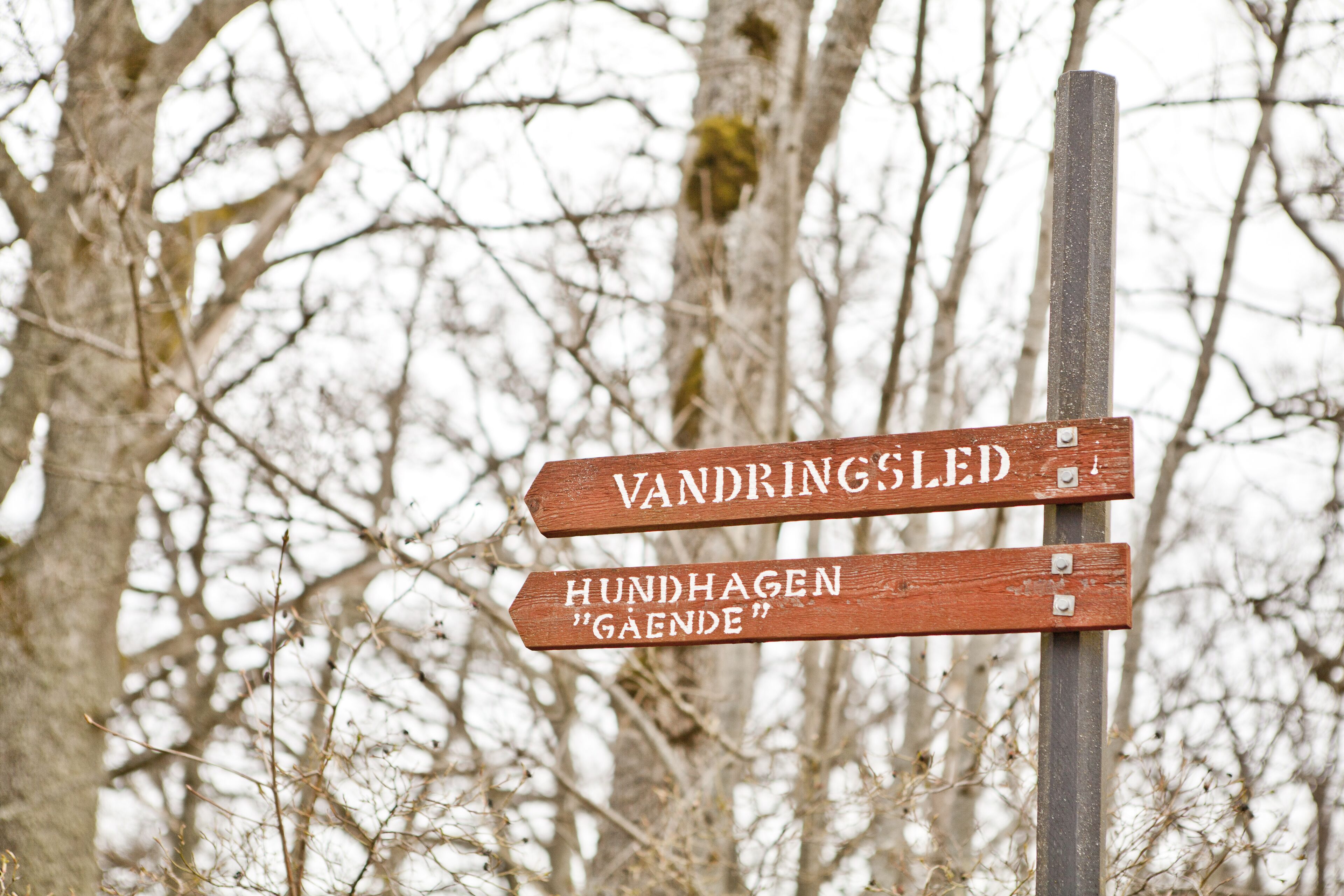Um sinal de madeira com indicações.