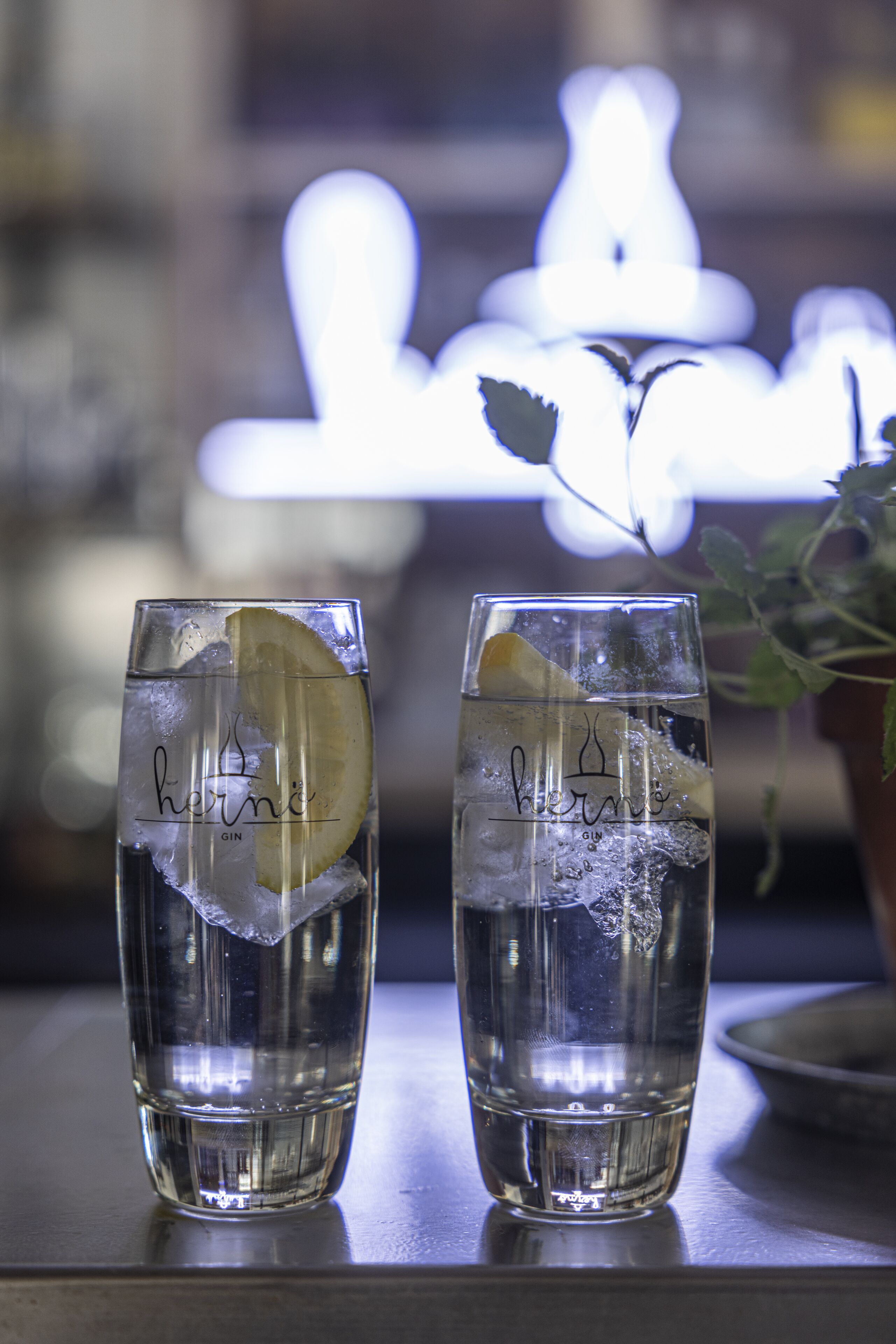 Dos vasos de ginebra con rodajas de limón sobre una barra.