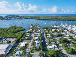 Imagem sem classificação, 2 de 50, botão