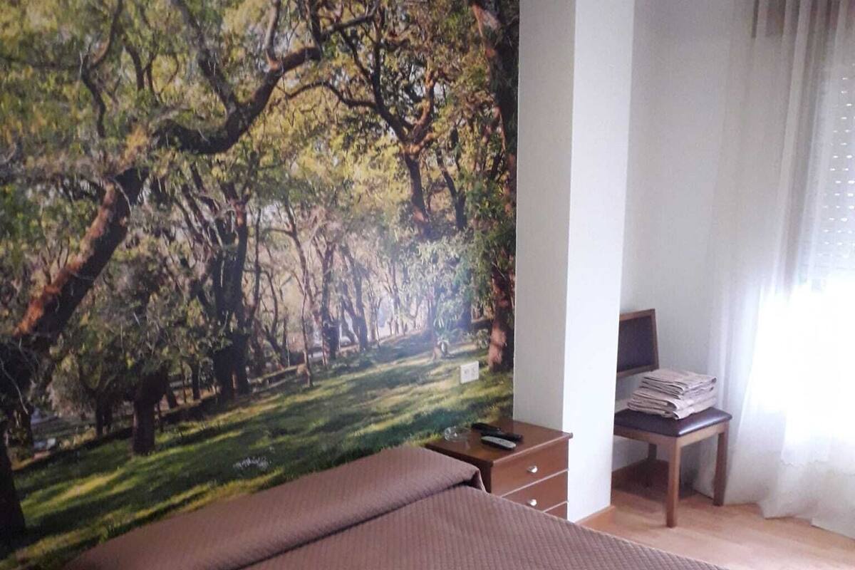 Habitación con 1 cama matrimonial o 2 individuales, baño privado | Wifi gratis y ropa de cama