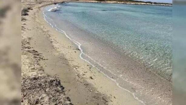 Una playa con agua cristalina y una orilla arenosa.