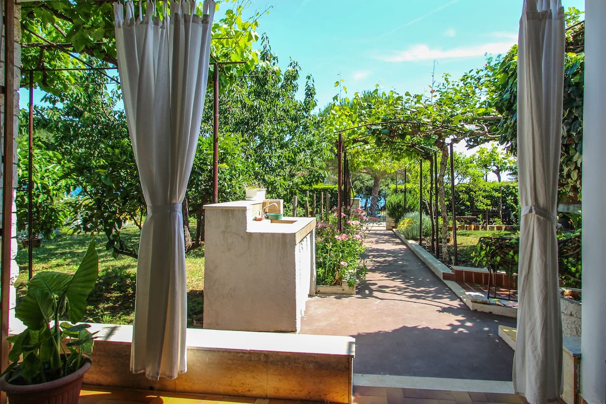Vista al jardín