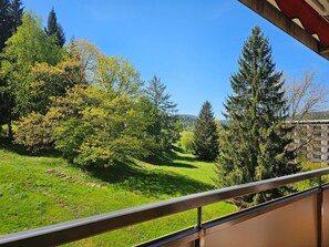 Property grounds - Hirschlein vacation apartment with Black Forest view in Baiersbronn (Baiersbronn)