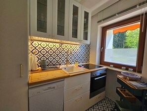 Fridge, oven, stovetop, dishwasher