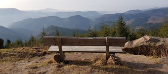 Appartement "Hirschlein" in het Zwarte Woud
