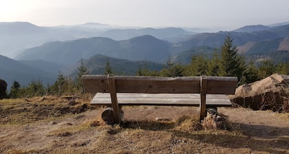 Ferienwohnung Hirschlein mit Schwarzwaldblick in Baiersbronn