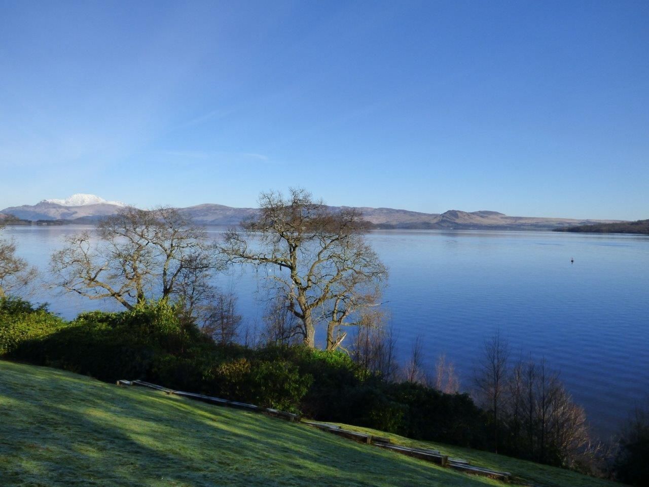 A serene lake with a clear sky, surrounded by trees and a grassy area.