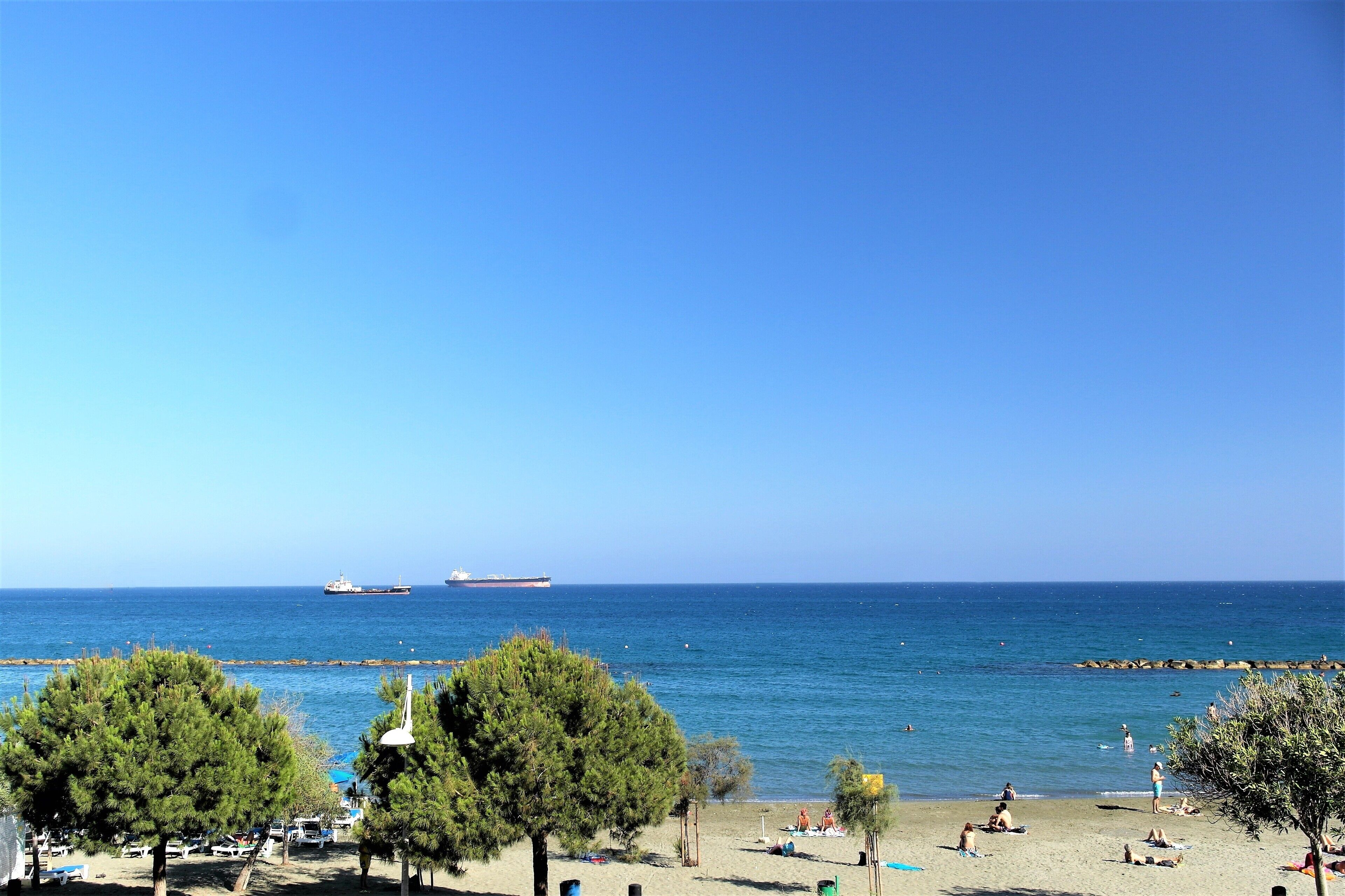 A beach with trees, a ship in the distance, and a clear sky.