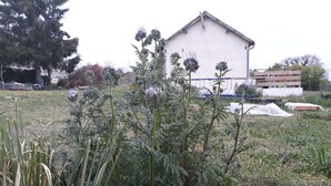 Un bâtiment à l’extérieur simple et blanc, doté d’un toit en pente, entouré d’une zone verdoyante où poussent diverses plantes et arbres.