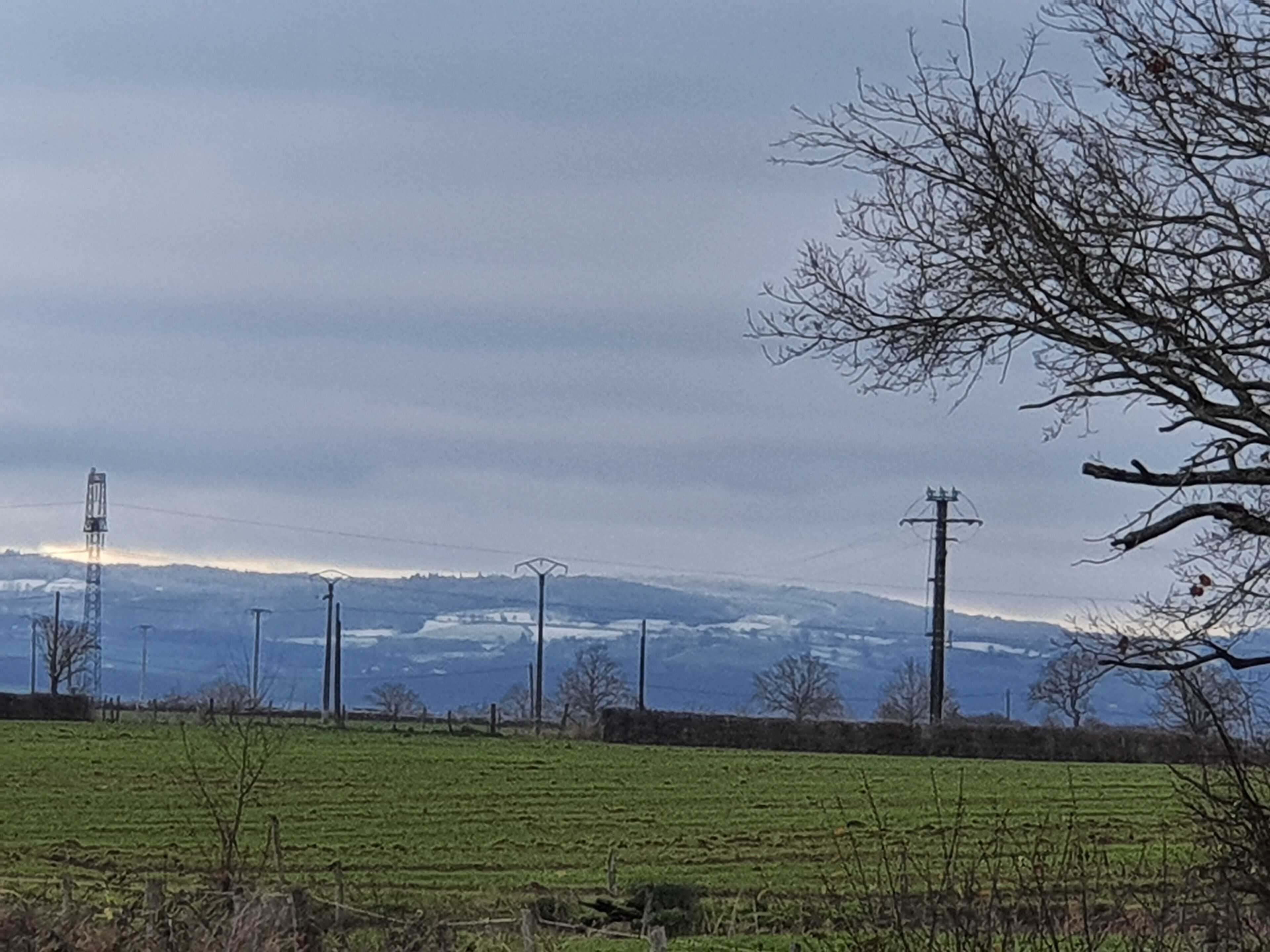 A rural landscape with a field, a power line tower, and a leafless tree.