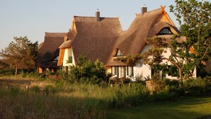 A row of thatched-roof cottages with white walls and green shutters, surrounded by tall grass and trees. - Dünenmeer Ferienhäuser (Ostseebad Dierhagen)
