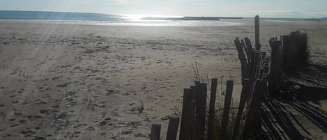 Playa en los alrededores y camastros