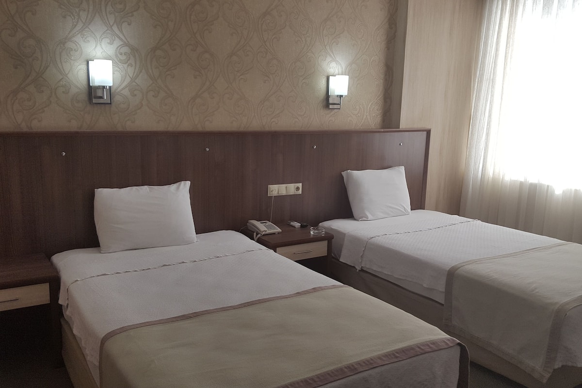 double or twin room | minibar, desk, free wifi, bed sheets