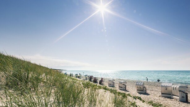 Een strand met witte strandstoelen en genummerde tenten, een heldere lucht en de oceaan.