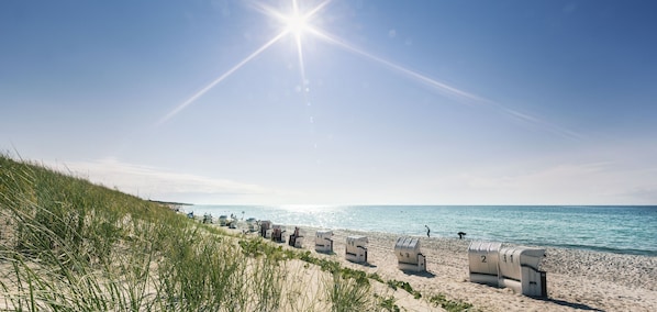 On the beach, white sand, beach yoga, beach volleyball