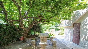 Garden - Zoran (Novigrad)