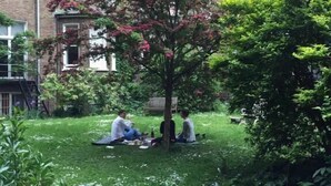 Un jardín con un árbol y dos personas sentadas sobre una manta.