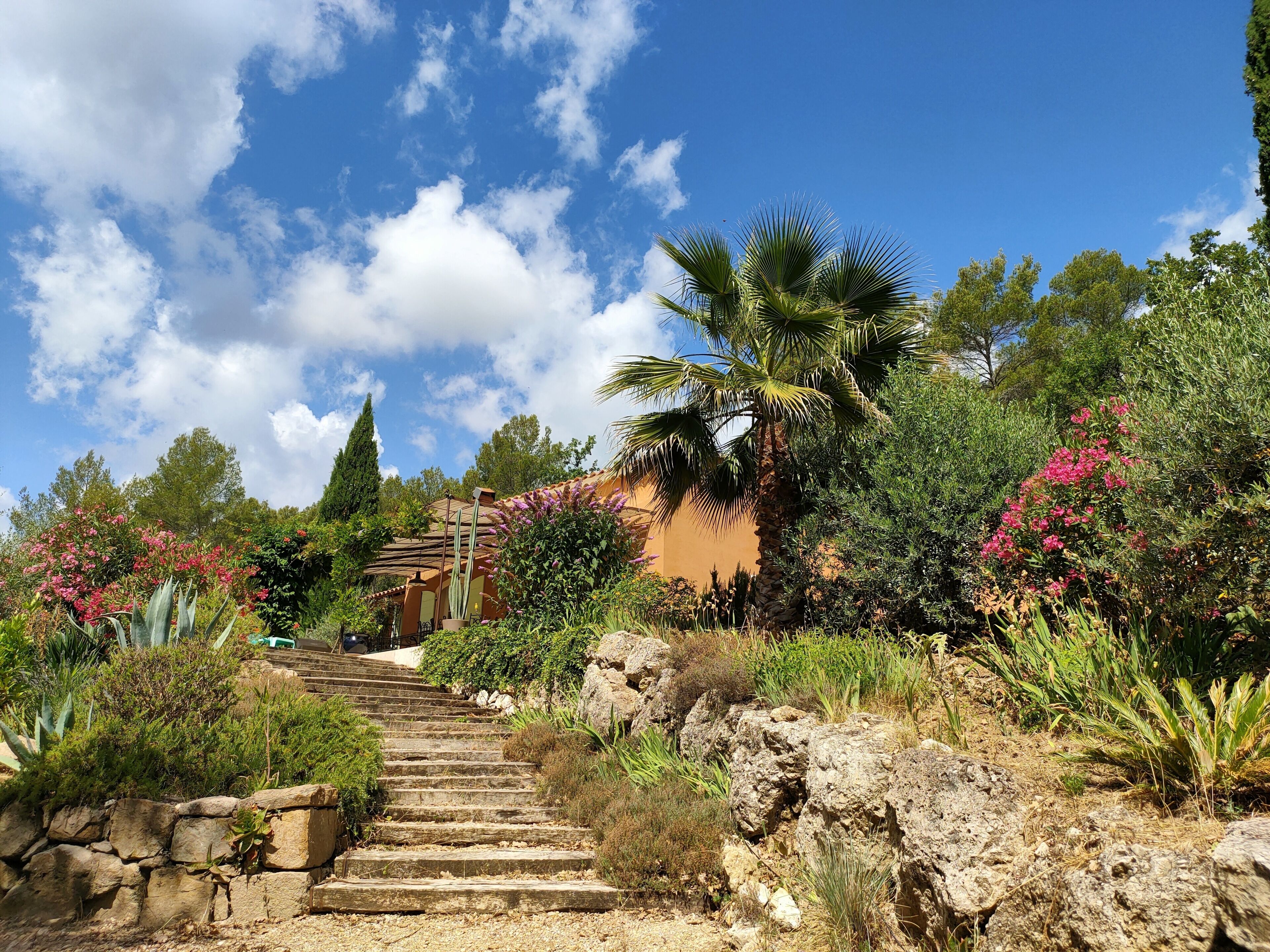 Jardines del alojamiento