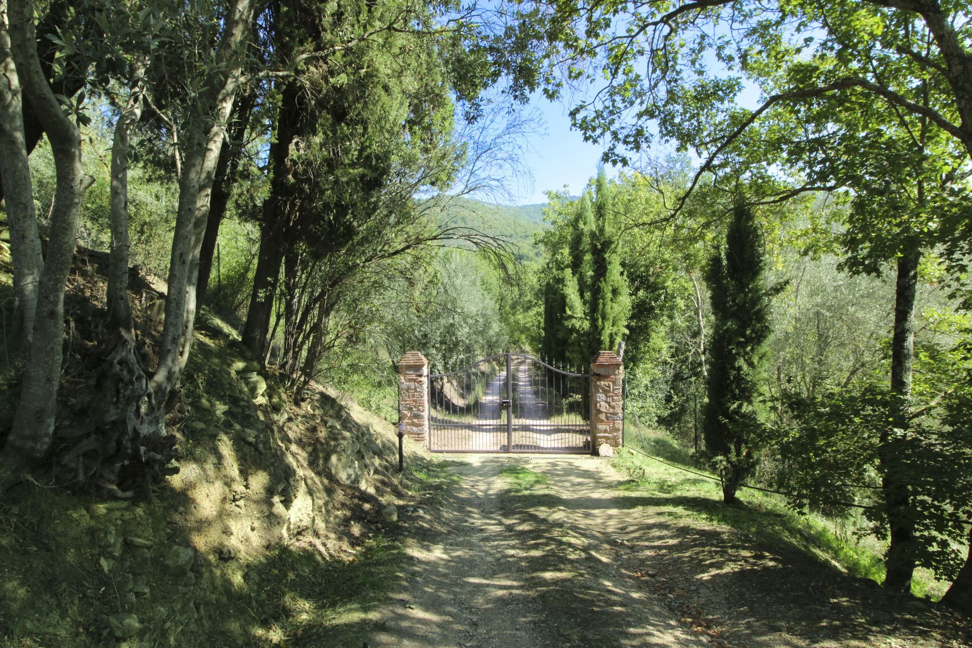 Un camino pavimentado que conduce a una entrada con portón, rodeada de árboles.