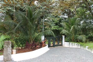 A landscaped garden with a gravel path, palm trees, and a white planter with red foliage.