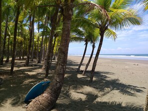 A beach with palm trees and a surfboard leaning against one. - Villas Octogoña (Ciudad Cortés)