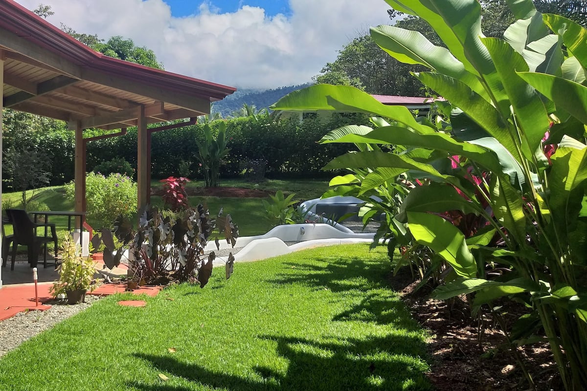 Garden view