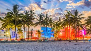 Una playa con palmeras y edificios coloridos al fondo.