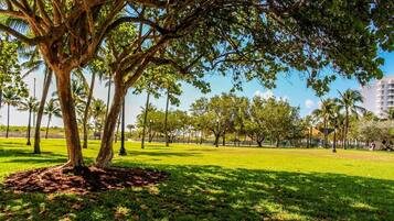 Terrein van de accommodatie