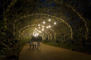 An outdoor pathway with a canopy of lights, surrounded by foliage.