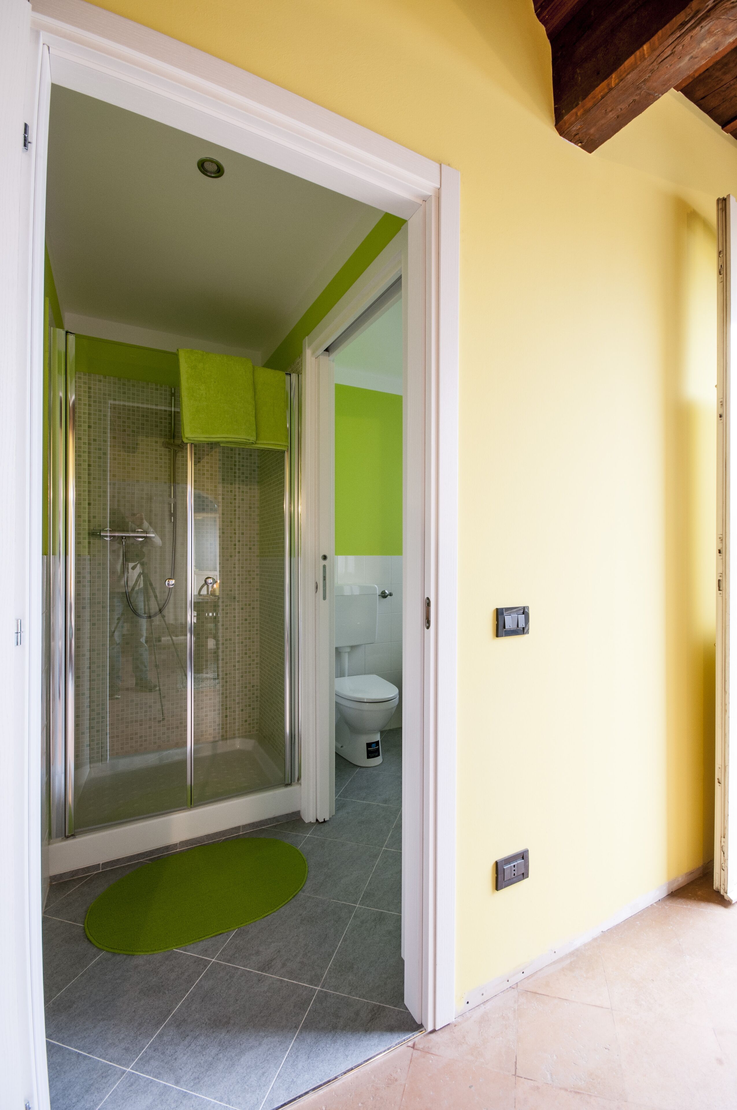 A bathroom with a shower, toilet, and a green mat.