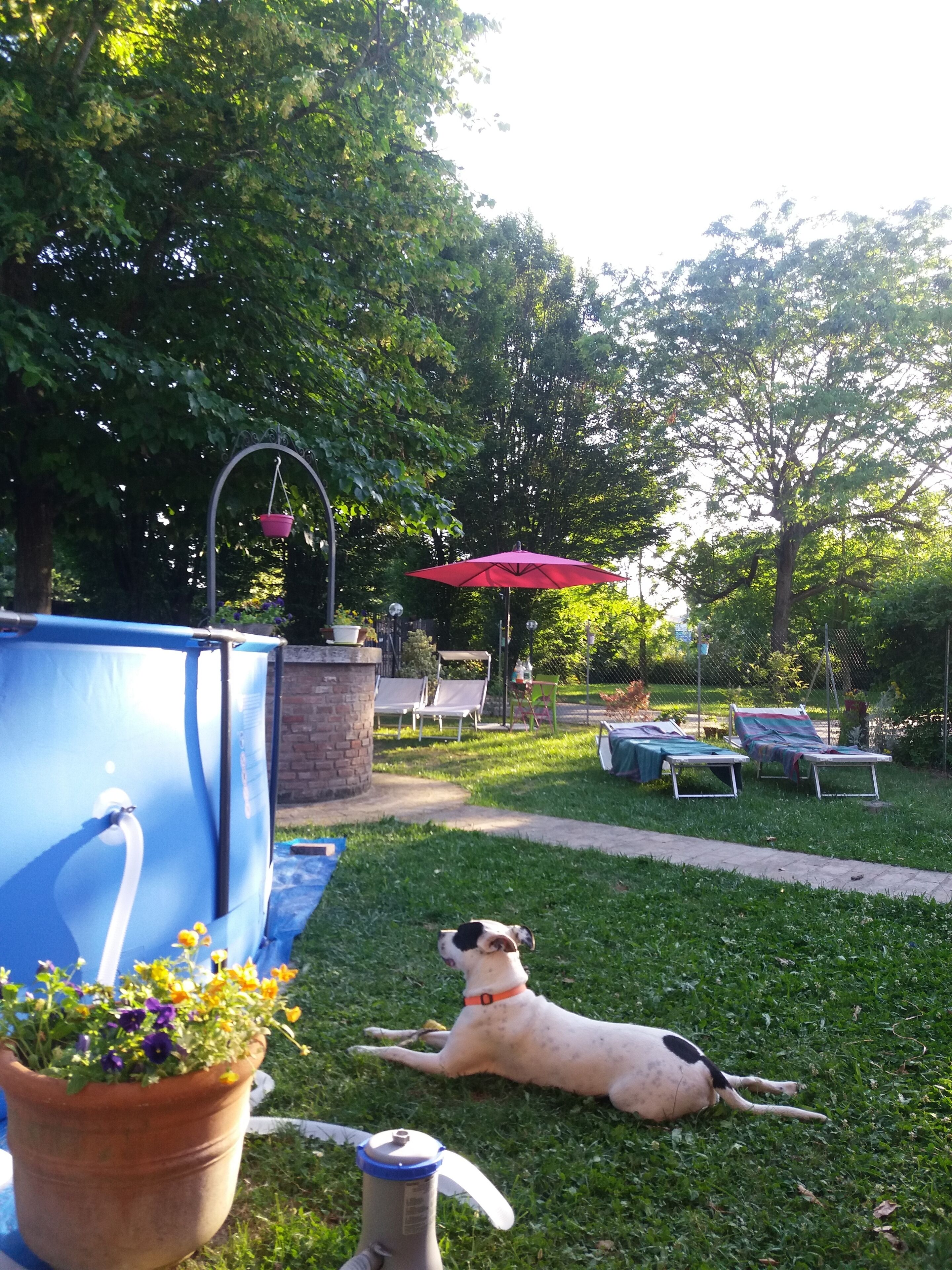 Giardino